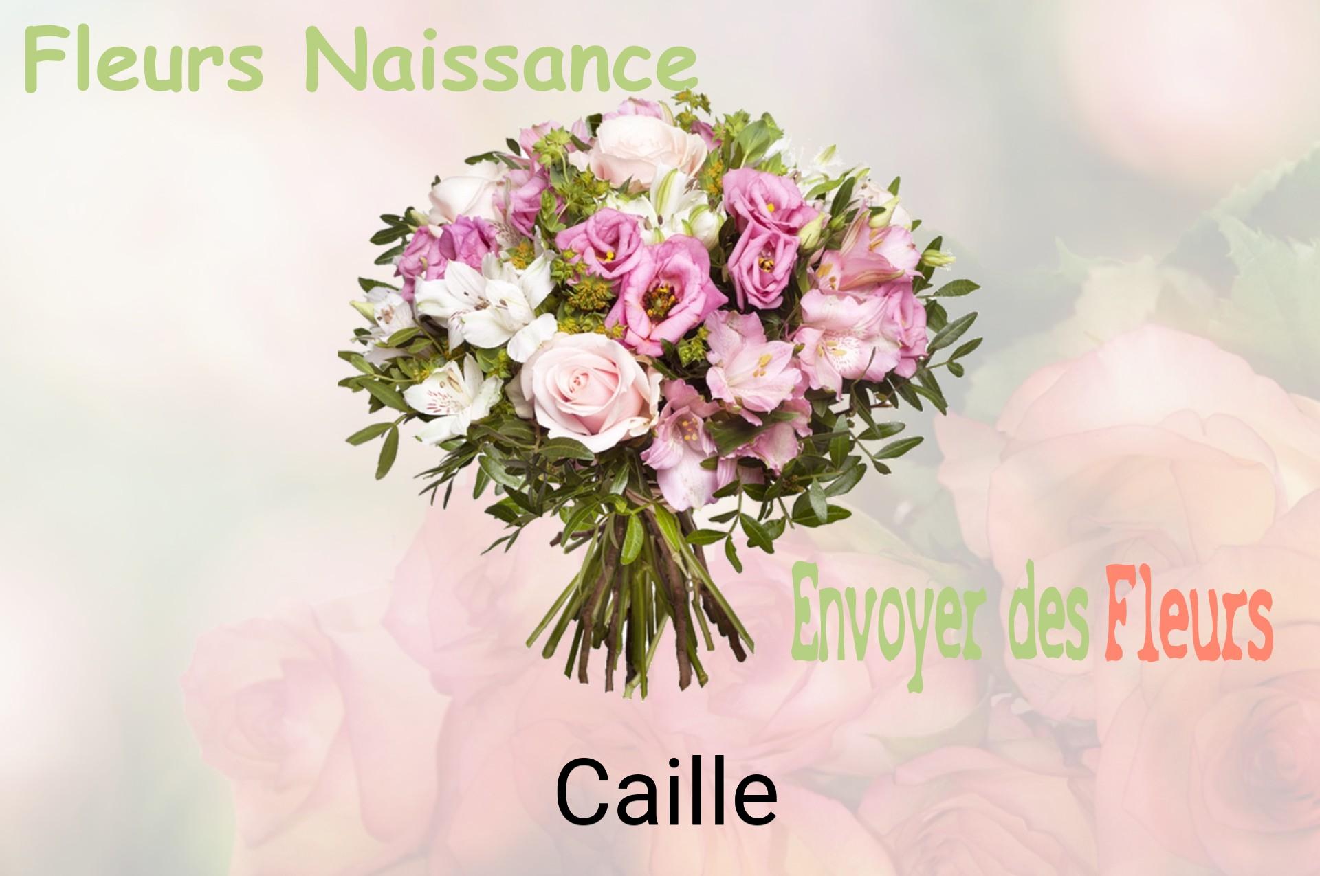 Bouquet de fleurs de naissance livré à Caille